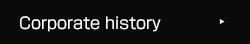 Company history