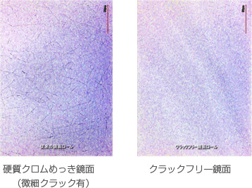 レーザー顕微鏡像